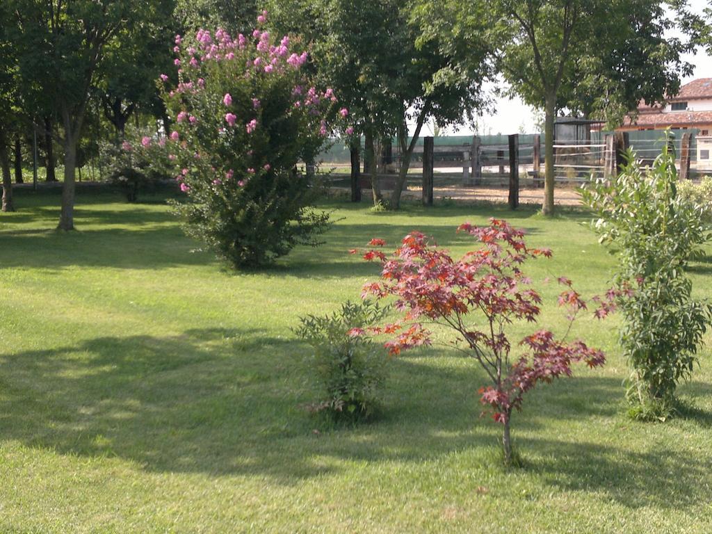Agriturismo Arte Contadina ฟิโอเร็นซัวลา ดาร์ดา ภายนอก รูปภาพ